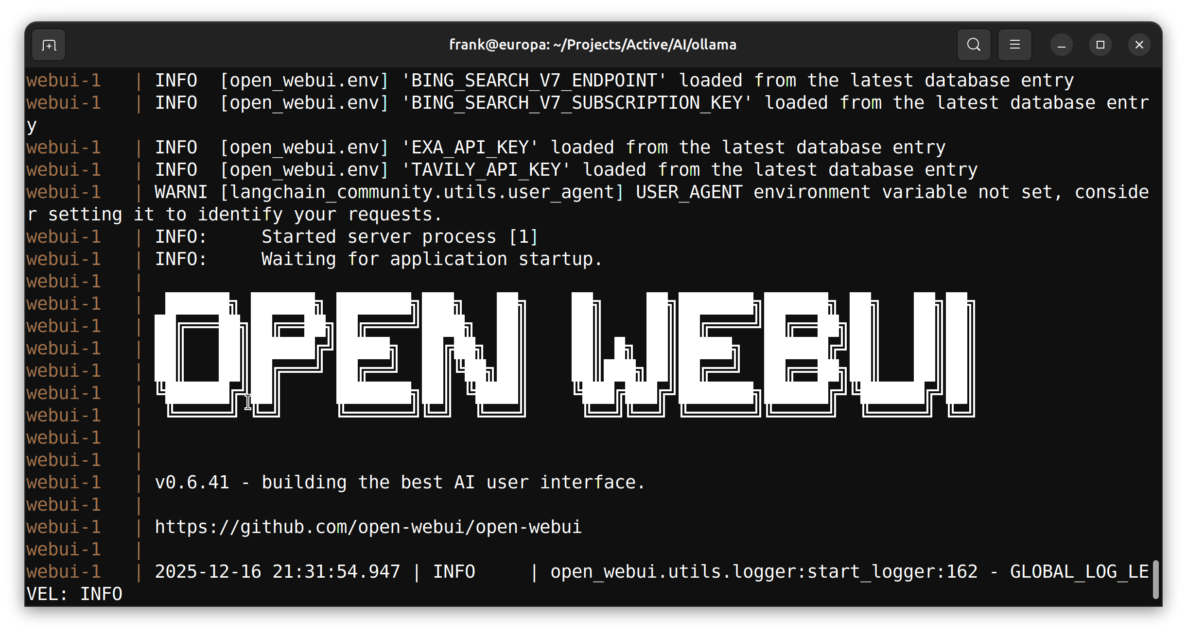 WebUI Terminal Output after running Docker Compose Up